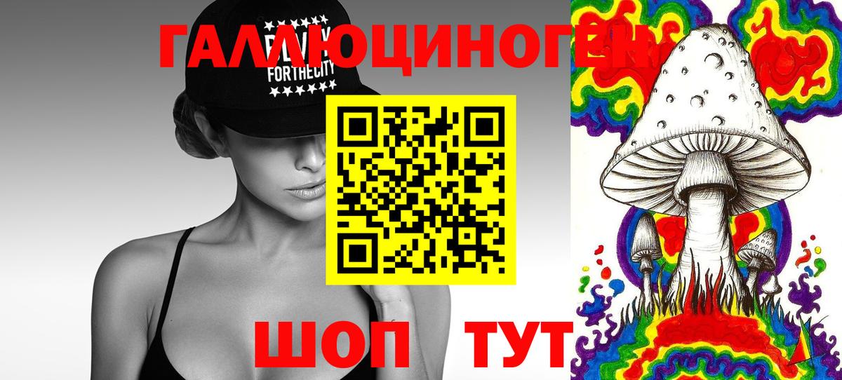 Псилоцибиновые грибы Psilocybine cubensis  Вход с VPN  Туймазы 